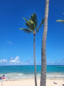 Zwei hohe Palmen stehen am weißen Sandstrand vor türkisblauem Meer und klarem, sonnigem Himmel.