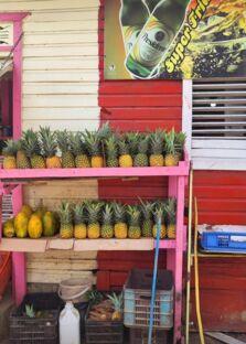 Bunte Früchtestation mit frischen Ananas und Papayas vor roter, gelber Hauswand im Urlaubsstil.