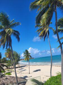 Weißer Sandstrand mit hohen Palmen, türkisblauem Meer und klarem, blauem Himmel bei sonnigem Wetter.