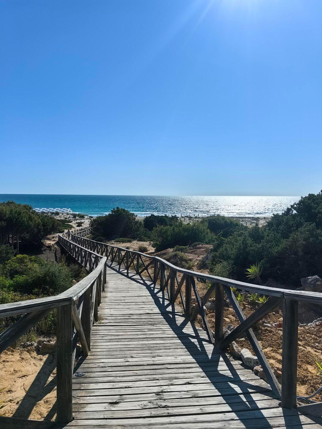 Ein hölzerner Steg führt durch grüne Büsche zum glitzernden blauen Meer unter klarem Himmel.