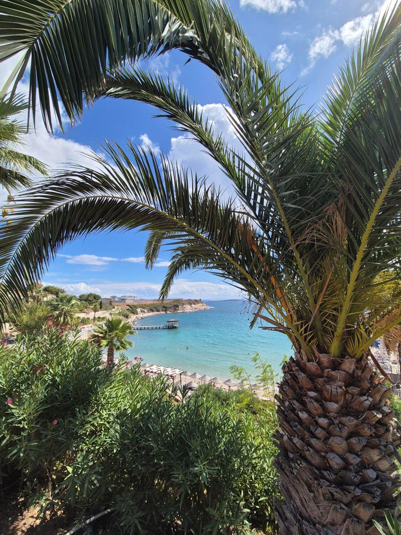 Mediterraner Strand mit Palmen, klarem blauem Meer und Sonnenliegen unter blauem Himmel.