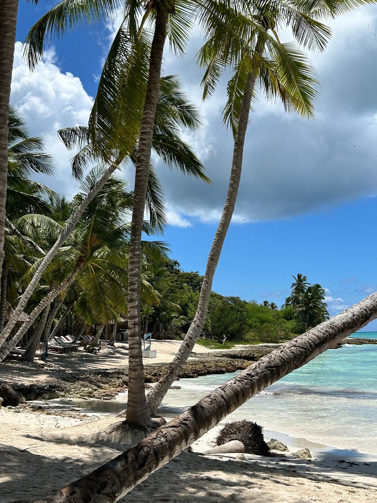 Tropischer Strand mit Palmen, hellem Sand und türkisfarbenem, klarem Meer unter wechselndem Himmel.